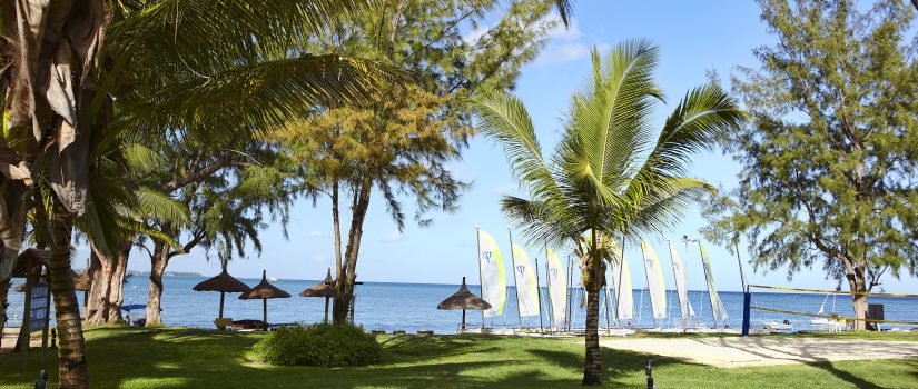 Jardins extérieurs avec des voiliers et catamaran au loin