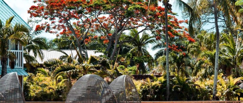 Accès aux piscines extérieures