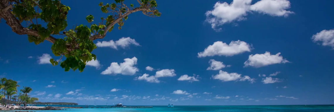 Vue de la plage laissant voir la mer à perte de vue 