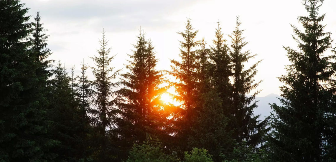 Club Med Samoëns, en France - Photo prise des sapins entourant le complexe, au coucher de soleil